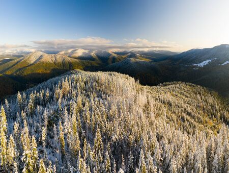 AERIAL: Flight Over Foggy Autumn Colourful Forests. Drone View at misty hills with vibrant foliage in fall. Breathtaking landscape, autumn and winter aesthetics.の写真素材