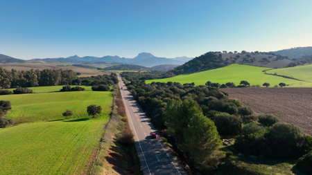 Aerial view Car Driving on Country Road. modern vehicle riding fast along trees and fields. flying over road with treesの写真素材