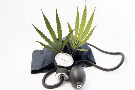 Weed (marijuana, cannabis), cardiovascular system and blood pressure. Two cannabis leaf standing upright among sphygmomanometer inflated cuff close to the measuring scale tonometer and air bulbの写真素材
