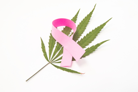 Pink ribbon as symbol for breast, lies on top of green leaf of medical marijuana. Use of cannabis in treatment of breast cancer and other breast diseases, effects of marijuana while breastfeedingの写真素材