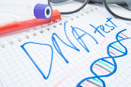 Note labeled DNA test and DNA formula lies next to test tubes with blood, biomaterial and glasses. DNA test or analysis procedure concept to determine ancestry, paternity, familytree, genetic diseasesの写真素材