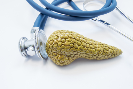Anatomical model of pancreas with stethoscope, which test it on white background. Concept for diagnosis, treatment, prevention and diet in pancreatic diseases such as pancreatitis, diabetes, cancerの写真素材