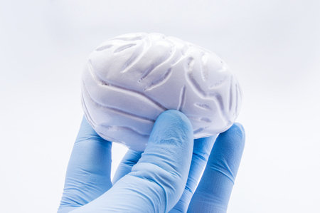 Doctor keeps in hand, dressed in blue glove, anatomical shape of human brain. Concept picture symbolizing diagnosis, treatment, care, prevention and protection of mental and cognitive brain diseasesの写真素材