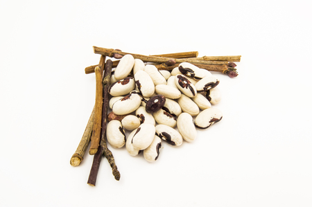 Beans (kidney bean) surrounded by small twigs isolated on a white background close-up front viewの写真素材