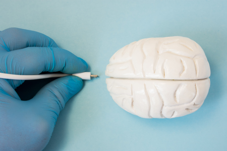 Brain and plug concept photo. 3D figure of human brain is next to hand of scientist or doctor in glove, which keeps plug connector to be inserted into organ for diagnostic or download information dataの写真素材