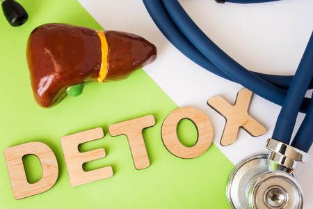 Liver detox concept photo. Word detox of volumetric letters is near 3D liver model and  medical stethoscope. Medical diet program for detoxification and cleanse of biliary system for women and menの写真素材