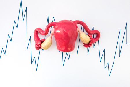 Shape of uterus or womb with ovaries is background with schedule or graph with peak values. Visualization of uterine activity and its muscles during labor or birth, schedule of intensity of periodsの写真素材