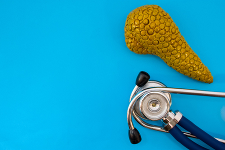 Anatomic study model of pancreas gland and stethoscope on blue background occupy half of photo, in second half - empty space for titles. Medical concept photo for use in endocrinology gastroenterologyの写真素材