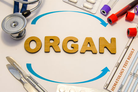 Organ transplantation concept photo. Word organ inlaid letters is surrounded by two arrows and medical supplies and equipment: stethoscope, surgical scalpels, test tubes with blood and medicinesの写真素材
