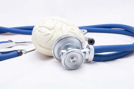 Stethoscope and brain model on white background. Medical concept.