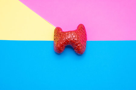 Red thyroid on a blue and pink background. Minimalism.