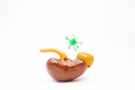 Chocolate candies on white background, chocolate candies on white background