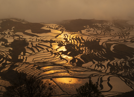 golden terracesの写真素材