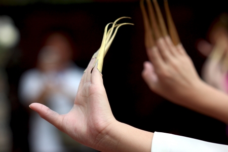 Dance festival worship  Was held in Chiang Mai Located in the north of Thailand  Dance of Thailand...