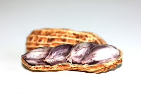 Beans are vegetables  That can be used as raw material for cooking variety の写真素材