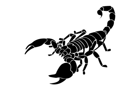 Black scorpion のイラスト素材
