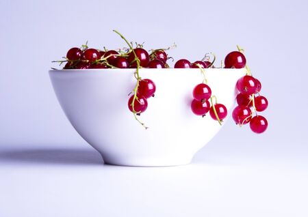 Red currantの写真素材