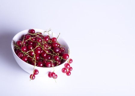 Red currantの写真素材