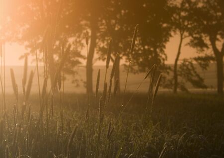 Landscapeの写真素材