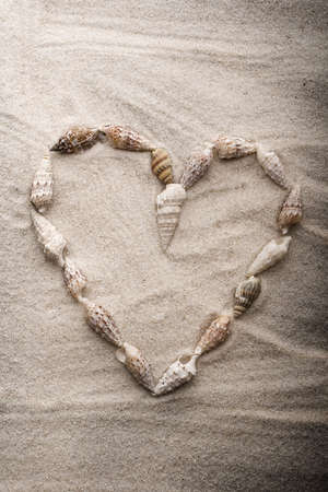 Shells