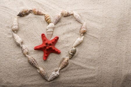 Shells and letter