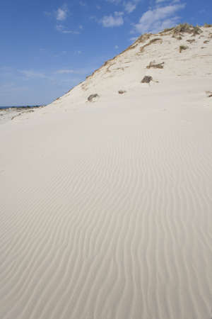 Beachの写真素材