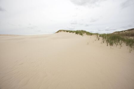 Beachの写真素材