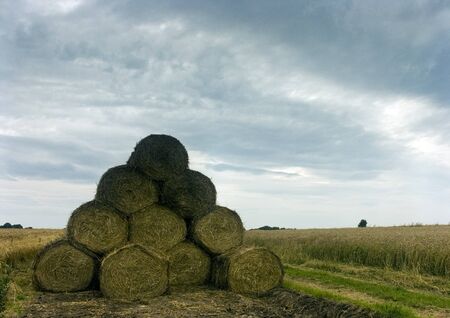 View of country path with some trees, fields, and meadows, blue sky and white clouds.の写真素材