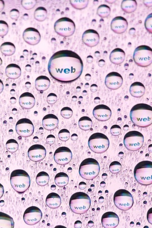 WEB in water dropsの写真素材