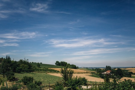 Clouds on the meadow. green grassの写真素材