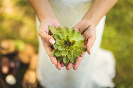 Green Flower in hands of the brideの写真素材