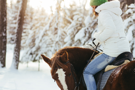beautiful girl and horse in the winter forestの写真素材