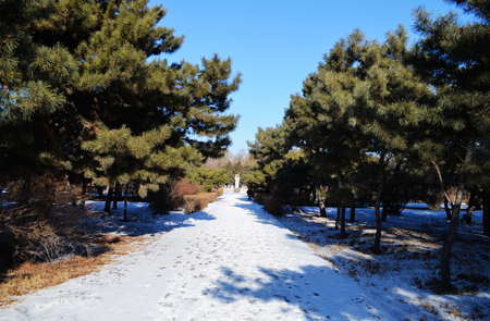 Qing Mausoleum scenicのeditorial素材