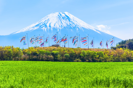 Colorful carp banners and Mount Fujiの写真素材