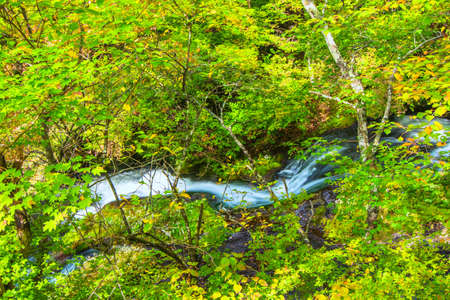 Ryuzu no taki waterfallの写真素材