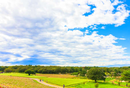 Autumnal skyの写真素材