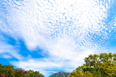 Autumnal skyの写真素材