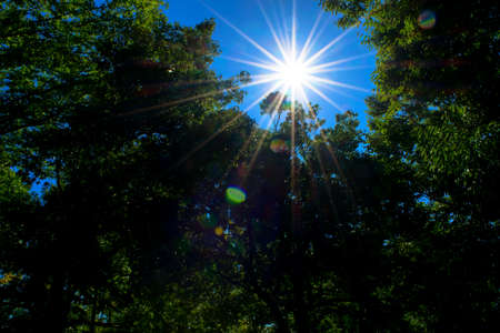 Blue sky and sunshine in Summerの写真素材
