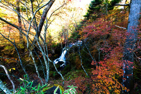 Ryuzu no taki waterfallの写真素材