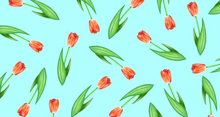 Tulip Wallpaper Red Light Blue Pattern Materialの写真素材