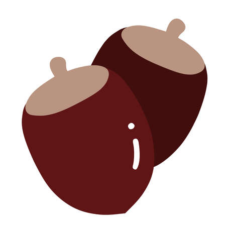 Danguri Acorn Autumnの写真素材