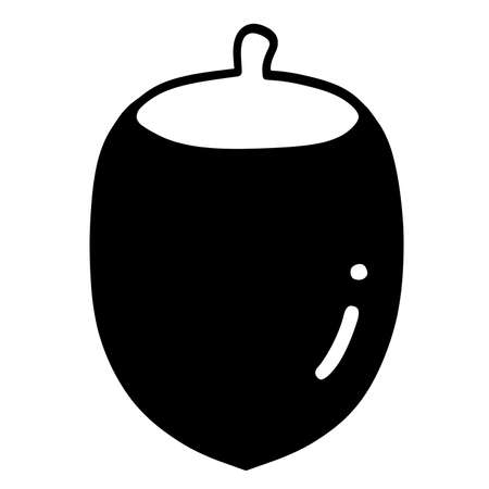 Donguri Acorn Autumnの写真素材