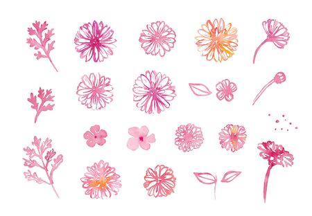 マーガレット の写真素材 イメージマート マーガレット の写真素材 イメージマート