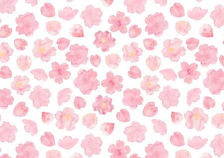 Watercolor illustration of cherry blossoms painted by handの写真素材