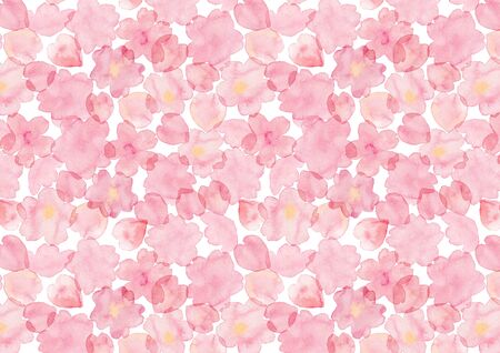 Watercolor illustration of cherry blossoms painted by handの写真素材