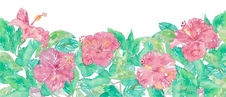 Illustration of hibiscus painted by watercolorの写真素材