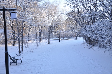 trails covered with snowの写真素材
