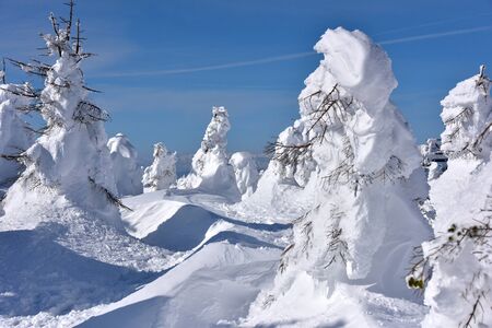 In winter the landscape of Zao, Yamagata, Japan