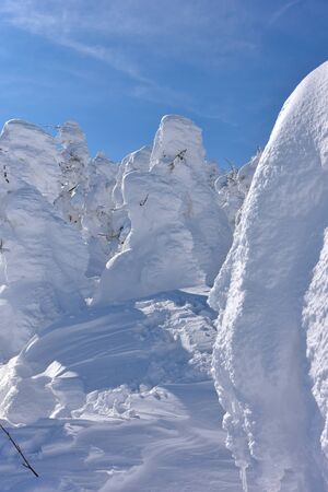 In winter the landscape of Zao, Yamagata, Japanの写真素材