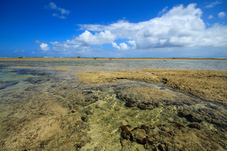 The shore at the time of the ebb tide, Okinawa, Japanの写真素材
